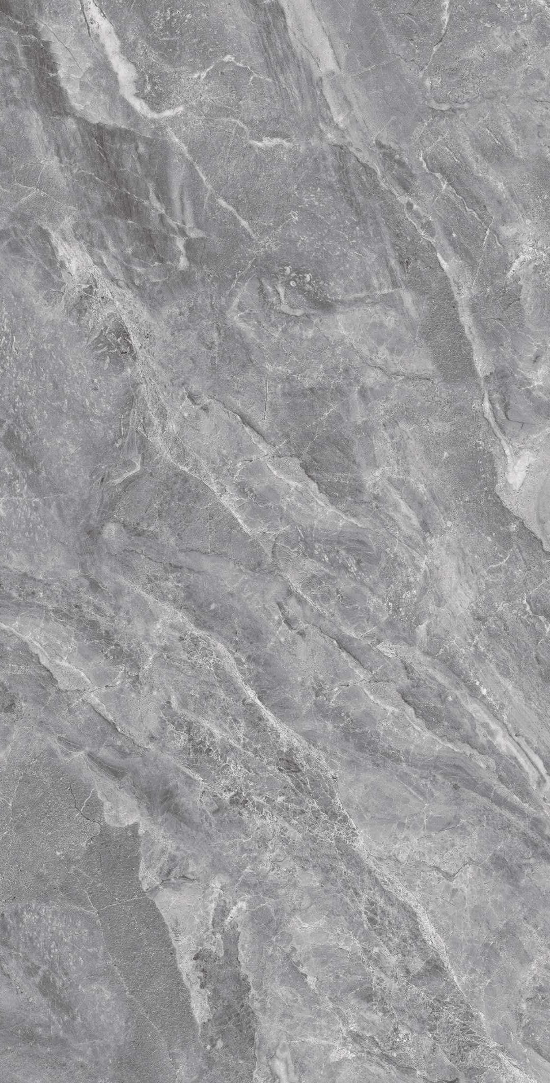 H25313